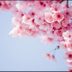 Meet your Posher, Katrina